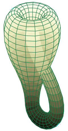 klein_bottle.png